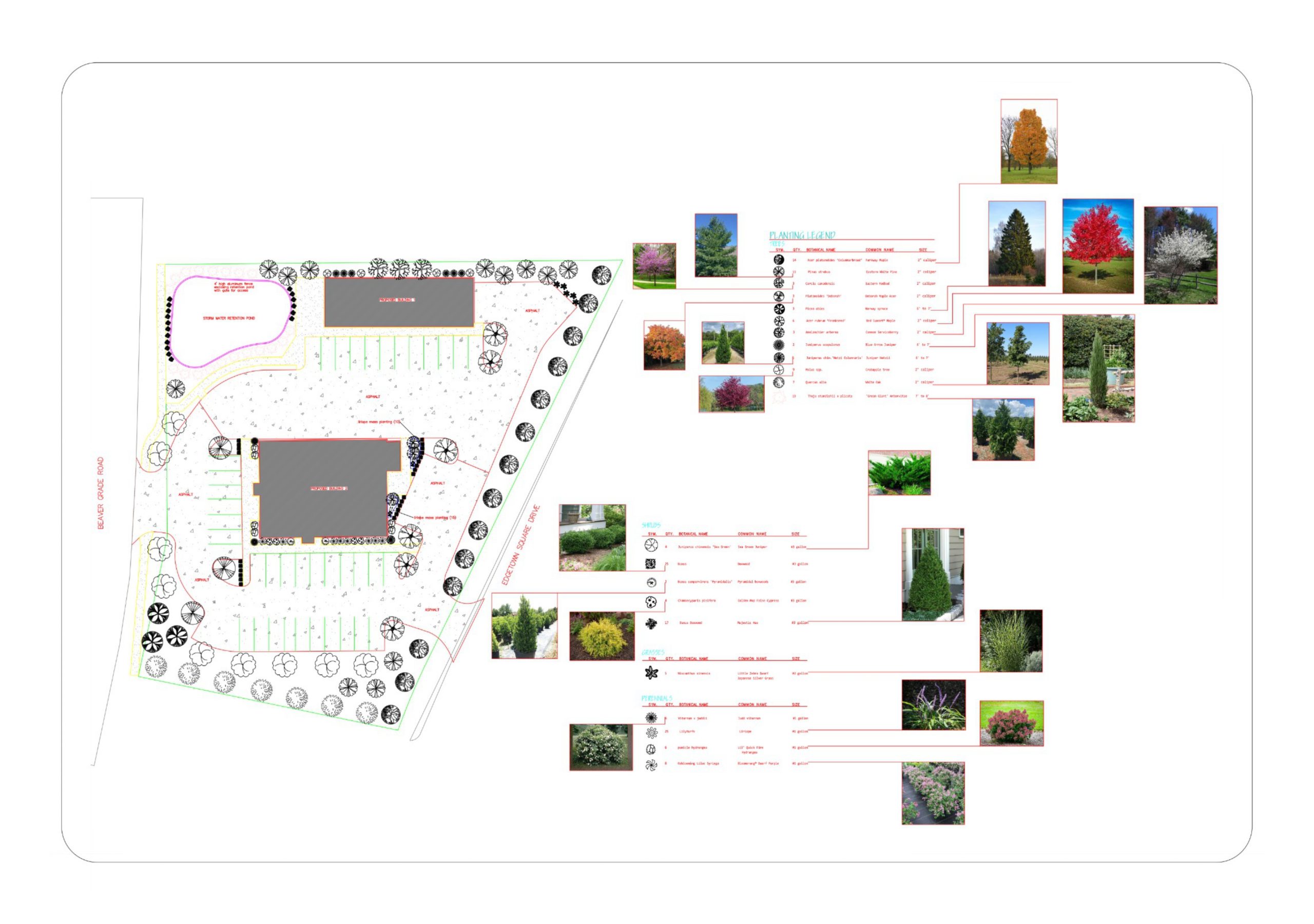 View PDF